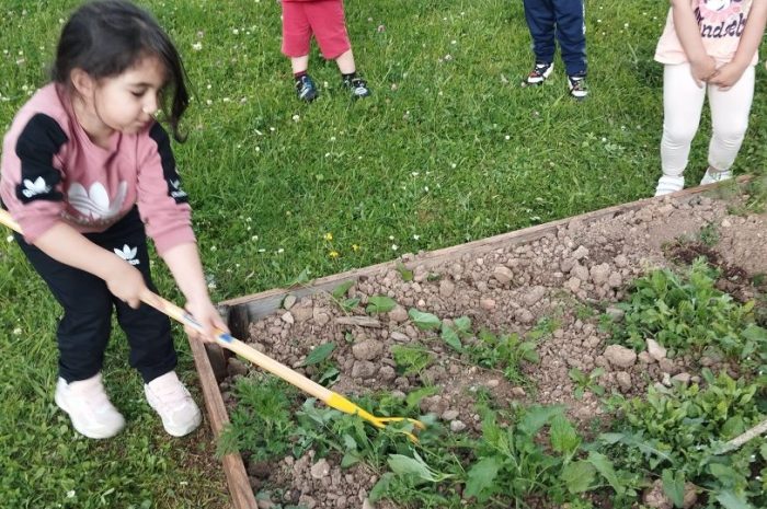 ?‍?Désherbage du jardin!??