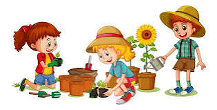 🧑‍🌾 Jardinage pour les MS et les GS 🪏