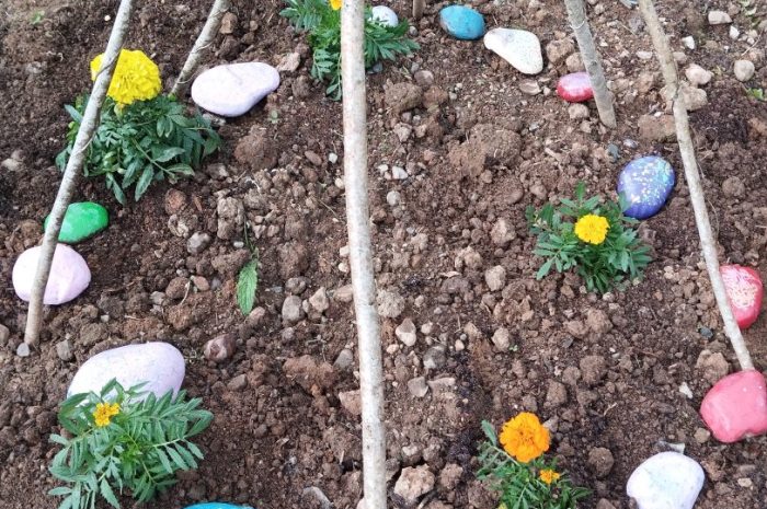 ?‍?On plante des fleurs et on décore le jardin?️