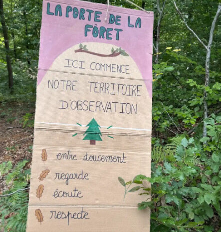 L&rsquo;école dehors